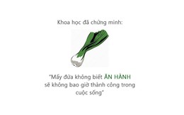 Cộng đồng nhốn nháo trước kèo solo 1v1 của game thủ Việt, rank 3k4 đấu với 6k1