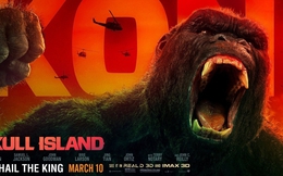 Lộ bằng chứng cho thấy King Kong và Godzilla chuẩn bị đụng độ nhau trên màn ảnh