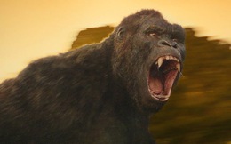 Hết đi đến Việt Nam, King Kong chuẩn bị được làm thành phim dài tập