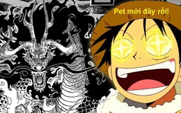 One Piece 921: Rồng Kaido giáng thế - Liệu Luffy có bắt về làm thú cưng?