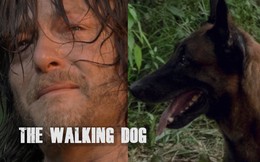 TWD S9 tập 7: The Walking "Dog" xuất hiện!