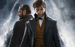 Fantastic Beast 2: Mối quan hệ của Dumbledore và Newt Scamander sẽ khác với Harry Potter như thế nào?