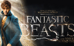 Tin vui cho các fan Harry Potter: Bộ phim Fantastic Beasts sẽ có phần 3