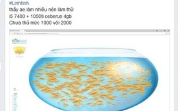 Trò chơi 'bắt cá' để test máy tính mạnh yếu đang nở rộ trong cộng đồng game thủ Việt