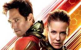 Phản ứng của cộng đồng mạng sau suất chiếu sớm Ant-Man and The Wasp: Tràn ngập tràn lời khen