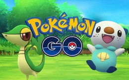 Chơi Pokémon Go và vô tình chứng kiến vụ cướp, cô gái trẻ bị bắn chết