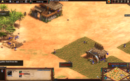 Chiêm ngưỡng sức mạnh của quân đội Việt Nam cổ trong AoE II DE