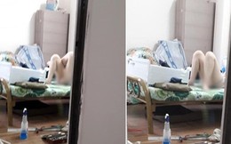Xuất hiện anh thợ sửa nhà tội nghiệp, than thở với cộng đồng mạng khó mà làm việc khi cô chủ nhà cứ nằm hớ hênh như "mời gọi"