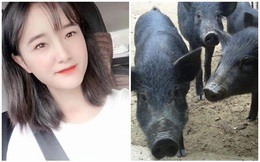 Sợ con gái ế, ông bố hứa tặng 300 con lợn cho chàng rể tương lai, cộng đồng mạng thắc mắc "Gái xinh thế này mà còn sợ"