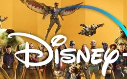 Chủ tịch Marvel tuyên bố: Để hiểu được hết MCU thì bạn phải đăng ký Disney+ ngay lập tức