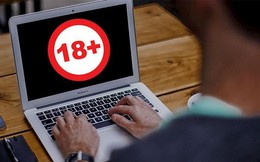 Nhà mạng mạnh tay, web đen sạch bóng khỏi cộng đồng mạng Việt Nam