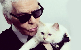 Mèo cưng của Karl Lagerfeld sẽ kế thừa khối tài sản 4.600 tỷ đồng, trở thành "mèo tỷ phú" của thế giới?