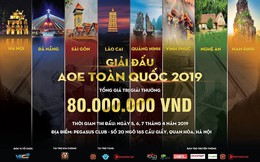 Khởi tranh AoE Toàn Quốc 2019 – Giải đấu lớn bậc nhất trong năm dành cho cộng đồng Đế Chế Việt Nam