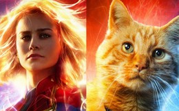 Dù là nữ siêu anh hùng "mạnh nhất" MCU nhưng Captain Marvel vẫn không thể chống lại một thứ?