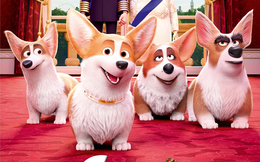 Điểm mặt dàn boss cưng "xinh yêu hết nấc" trong Corgi: Những Chú Chó Hoàng Gia