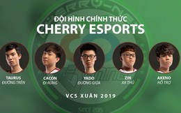 LMHT: Không thể trụ hạng VCS, Cherry Esports đã chính thức biến mất khỏi làng Liên Minh Huyền Thoại Việt?