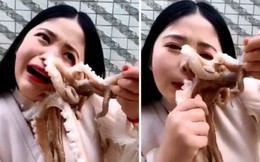 Đòi ăn sống bạch tuộc, nữ vlogger suýt bị "nó" xơi tái lại