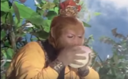 Đào tiên, nhân sâm trong thế giới Tây Du Ký lấy hình mẫu từ đâu mà ra?