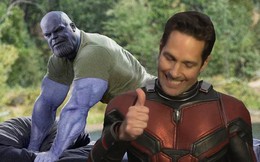 Nhà văn Avengers: Endgame lý giải thuyết âm mưu Ant-Man "chui hậu" để tiêu diệt Thanos: Người Kiến sẽ chết ngay lập tức!