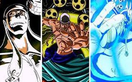 One Piece: Top 10 trái ác quỷ có thể khiến bạn trở nên giàu có thành các tỷ phú tiền tiêu không hết (P1)