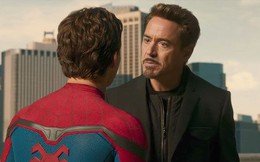 Marvel: Những dự án phim đang được hàng triệu fan hóng chờ xuất hiện trong MCU tương lai