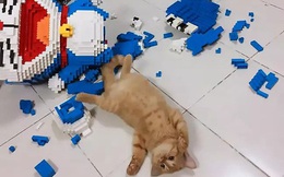 Ghen tị vì chủ nhân cả tuần ngồi lắp mô hình Doraemon, mèo thật thẳng chân đạp đổ "mèo máy" vỡ tan tành