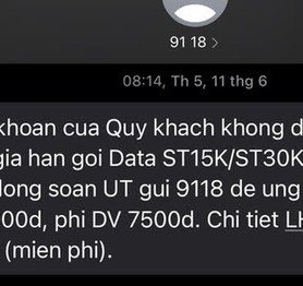 Vì sao các nhà mạng tại Việt Nam luôn nhắn tin không dấu cho người dùng?