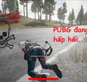 PUBG đang thoi thóp, liệu trào lưu game sinh tồn sẽ thực sự tuyệt chủng?