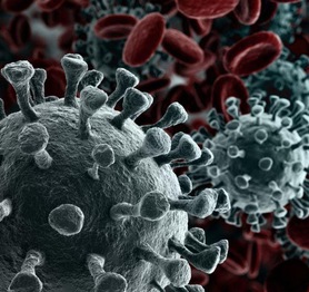 Không chỉ riêng con người, Corona virus còn "tấn công" cả máy tính nữa