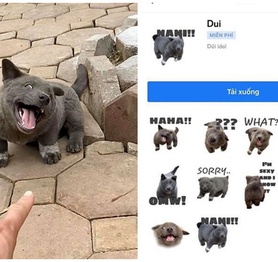Ăn theo hot trend Nguyễn Văn Dúi, Facebook tạo ra loạt sticker mới về chú cún này và sự thật phía sau khiến tất cả bất ngờ
