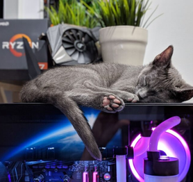 Đặt thùng máy trên bàn hay dưới đất thì đỡ bụi hơn, đây là câu trả lời cho bạn