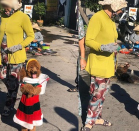 Chú chó nhỏ theo chủ ra chợ, thế nhưng chính chi tiết này lại khiến cộng đồng mạng bức xúc, tố chủ nhân ngược đãi động vật