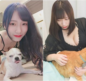 Đăng ảnh check in với chó mèo, nàng hot girl khiến cộng đồng mạng cảm thán "Xin được làm thú cưng của cậu"