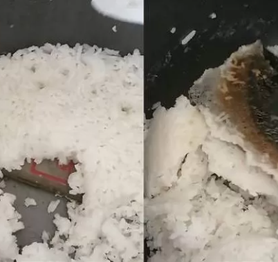 Đãng trí bỏ quên iPhone trong nồi cơm điện rồi nấu chung với gạo, cô gái khiến CĐM kinh ngạc khi khoe thành quả