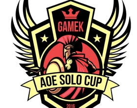 GameK AoE Solo Cup
