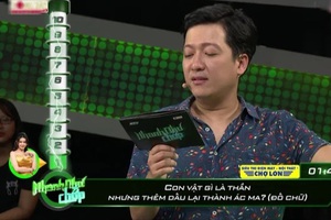 Câu đố Tiếng Việt: 