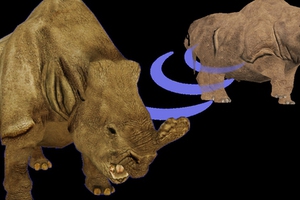 Embolotherium: Loài tê giác sở hữu chiếc sừng giống như loài bọ hung
