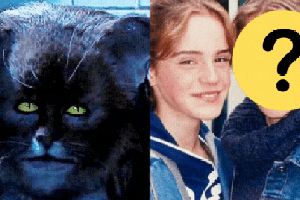 Đúng là cú lừa: Nàng mèo Hermione ở Harry Potter không phải Emma Watson, sau lớp mặt nạ là mỹ nhân đẹp chả thua kém