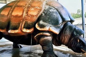 Cứ tưởng ''cụ rùa'' Tây Du Ký là tưởng tượng, hóa đi ra ''bản real'' lâu năm 5m từng sinh sống bên trên Trái đất