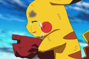 Cay đắng: Bộ sưu tập Pokémon TCG trị giá hàng ngàn USD mất trắng sau 3 ngày bị ngâm nước thải