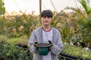 Peyz tiếp tục nối dài thành tích "khủng" trong màu áo T1