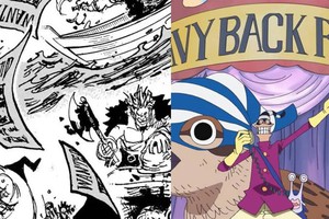 8 sự thật về trận chiến Davy Back Fight trong One Piece