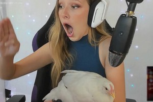 Đang phát sóng, nữ streamer hoảng hốt tắt máy vì sự cố