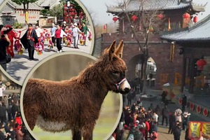 Ngôi làng cổ 600 năm tuổi tại Trung Quốc đổi đời nhờ đóng phim: Cả người và vật nuôi đều thành diễn viên