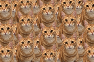 Một tựa game "free 100%" trên Steam nhận điểm số 9/10, người chơi rating "đỉnh của chóp"