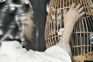 Nói về casting thì phim Trung Quốc này vô địch thiên hạ: Mấy chục nhân vật y hệt nguyên tác, chưa xem chưa phải dân chơi