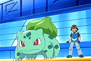 8 sự thật độc nhất vô nhị biến Bulbasaur thành Pokémon khởi đầu đặc biệt nhất lịch sử