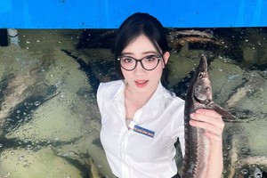 Giải mã "Cô Giáo Đầm": Công thức viral tạo nên sức hút khó cưỡng