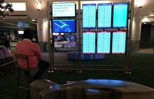Bá đạo và đam mê như nam game thủ Mỹ, cướp luôn màn hình sân bay để cày game, bị nhắc nhở còn bảo "Chờ nốt ván đã"