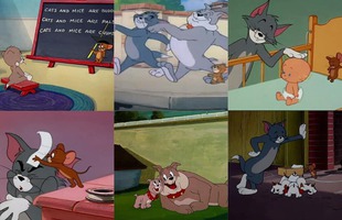 Tom & Jerry: Những bài học cuộc sống đằng sau cuộc chiến giữa mèo và chuột